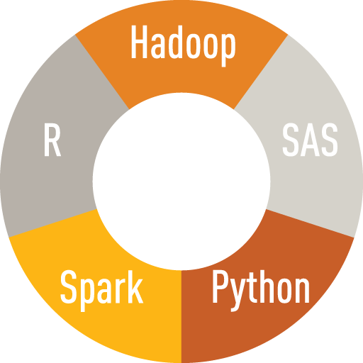 graphic showing the importance of Hadoop, SAS, Python, Spark and R technologies